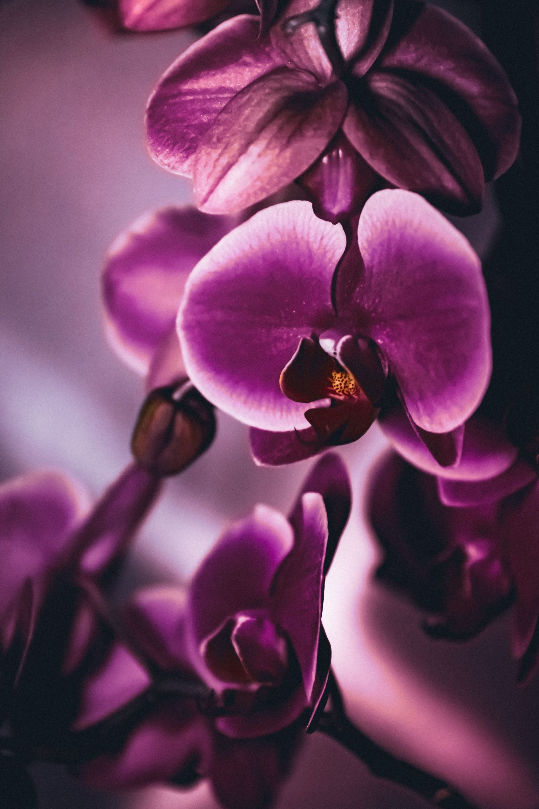 20230329183428_IMG_6309 (2)